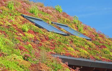 Tonge Corner living roof systems